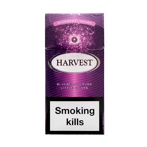 Harvest Blueberry Crush Little